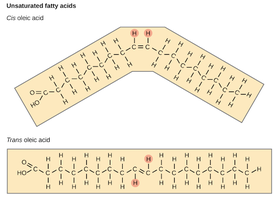 Cis and trans unsaturated fatty acids