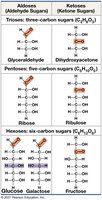 Structure and classification of some monosaccharides