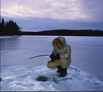 Ice floating on water