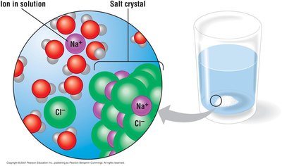 Salt dissolving in water