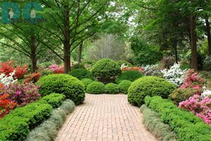Garden with ornamental plants