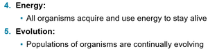 Energy and Evolution as characteristics of life