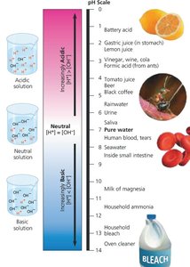 pH scale with common substances