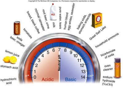 Circular pH scale with examples