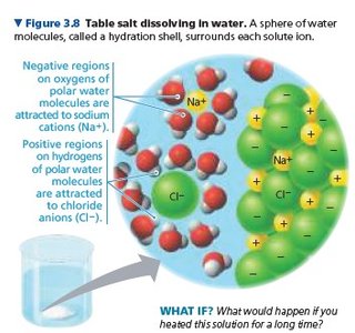 Table salt dissolving in water, hydration shell