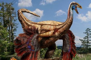 Feathered dinosaur (exaptation)