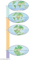 Geological time scale and continental drift