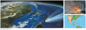 Asteroid impact and Cretaceous extinction