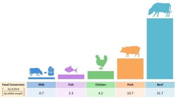 Feed conversion graph comparing milk, fish, chicken, pork, and beef