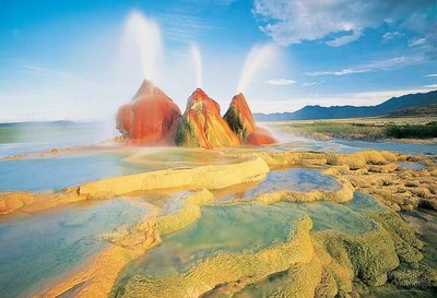 Prokaryotes in extreme environments