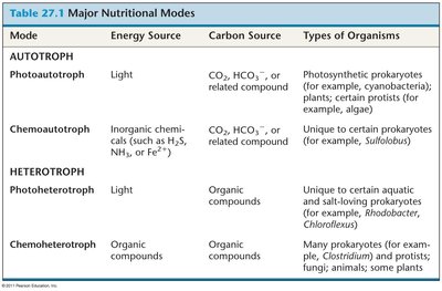 Table of nutritional modes