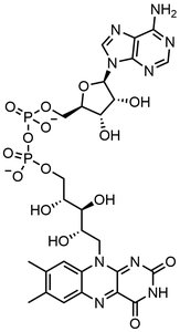 NAD+ and FAD electron carrier reactions