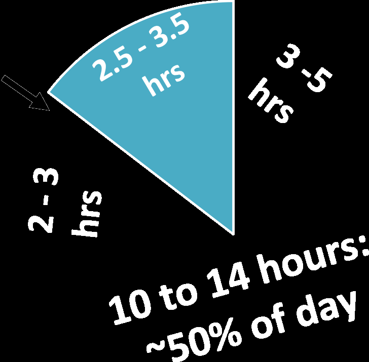 Pie chart showing time spent by cows on daily activities