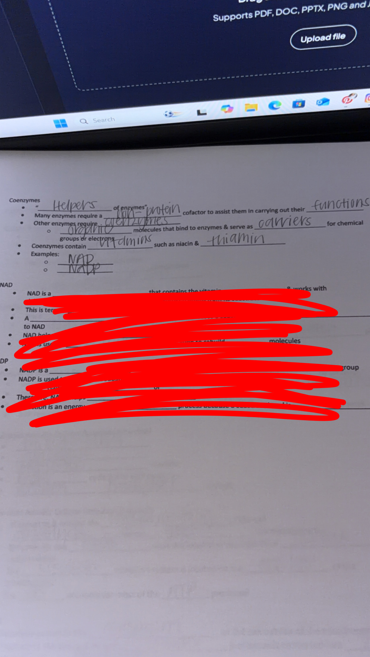 Handwritten notes on coenzymes, NAD, and NADP