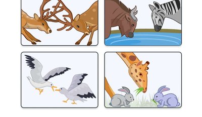 Examples of competition types