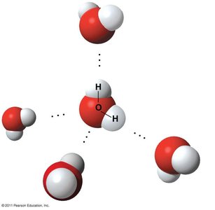 Water molecules forming hydrogen bonds