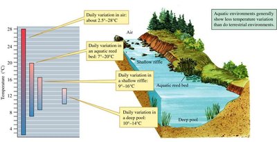 Aquatic environments show less temperature variation