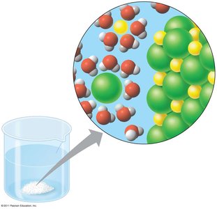 Table salt dissolving in water, hydration shell formation