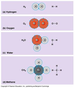 Covalent bonding in four molecules: hydrogen, oxygen, water, methane