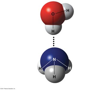 Hydrogen bond between water and ammonia