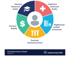 Diagram of social determinants of health