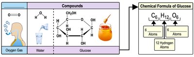 Compounds and Chemical Formula of Glucose