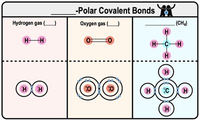 Nonpolar Covalent Bonds: Equal Sharing