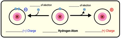 Anions vs. Cations: Electron Gain and Loss
