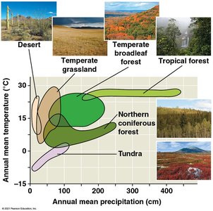 Graph of temperature and precipitation for different biomes