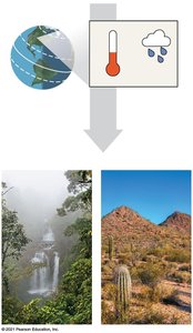Climate and biome distribution