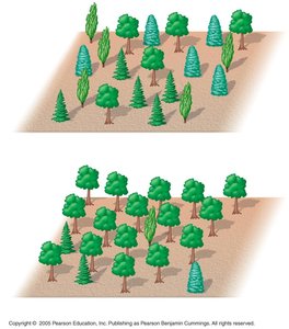 Comparison of species diversity in two communities
