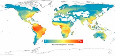 Map of amphibian species richness