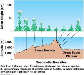 Common garden experiment showing local adaptation