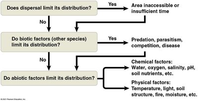 Flowchart of factors limiting species distribution