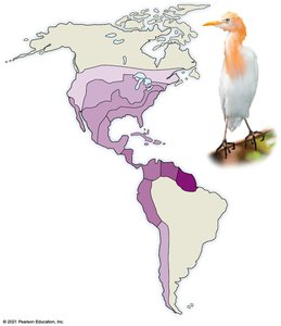 Map showing species dispersal