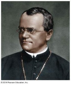 Portrait of Gregor Mendel