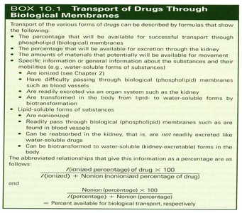 Transport of drugs through biological membranes