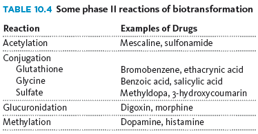 Phase II reactions of biotransformation