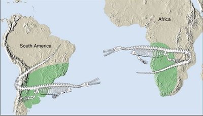 Mesosaurus fossil range map