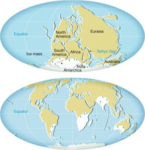 Pangaea glacial deposits and coal fields