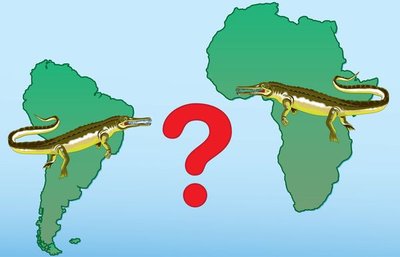Mesosaurus fossil distribution between South America and Africa