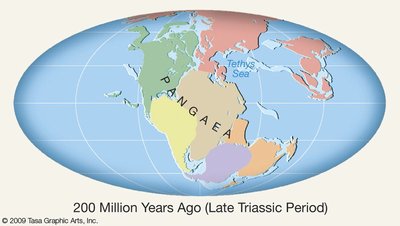 Map of Pangaea 200 million years ago