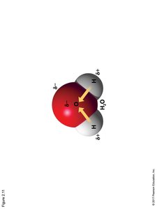 Van der Waals interactions