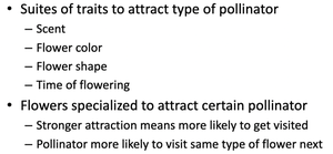 Summary of pollination syndromes and flower specialization