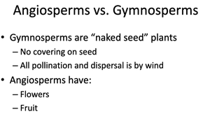Summary of angiosperms vs. gymnosperms