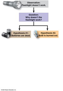 Flowchart of scientific method with flashlight example