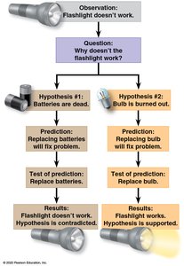 Complete flowchart showing results and hypothesis testing
