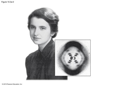 Rosalind Franklin and DNA X-ray image