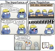 Cartoon illustrating the importance of gene regulation in cell identity