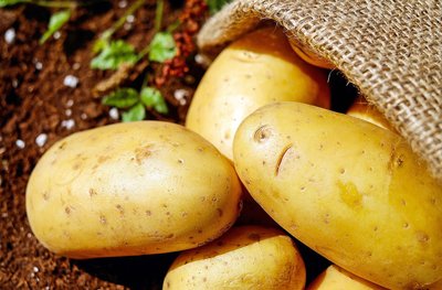 Potatoes as a source of starch